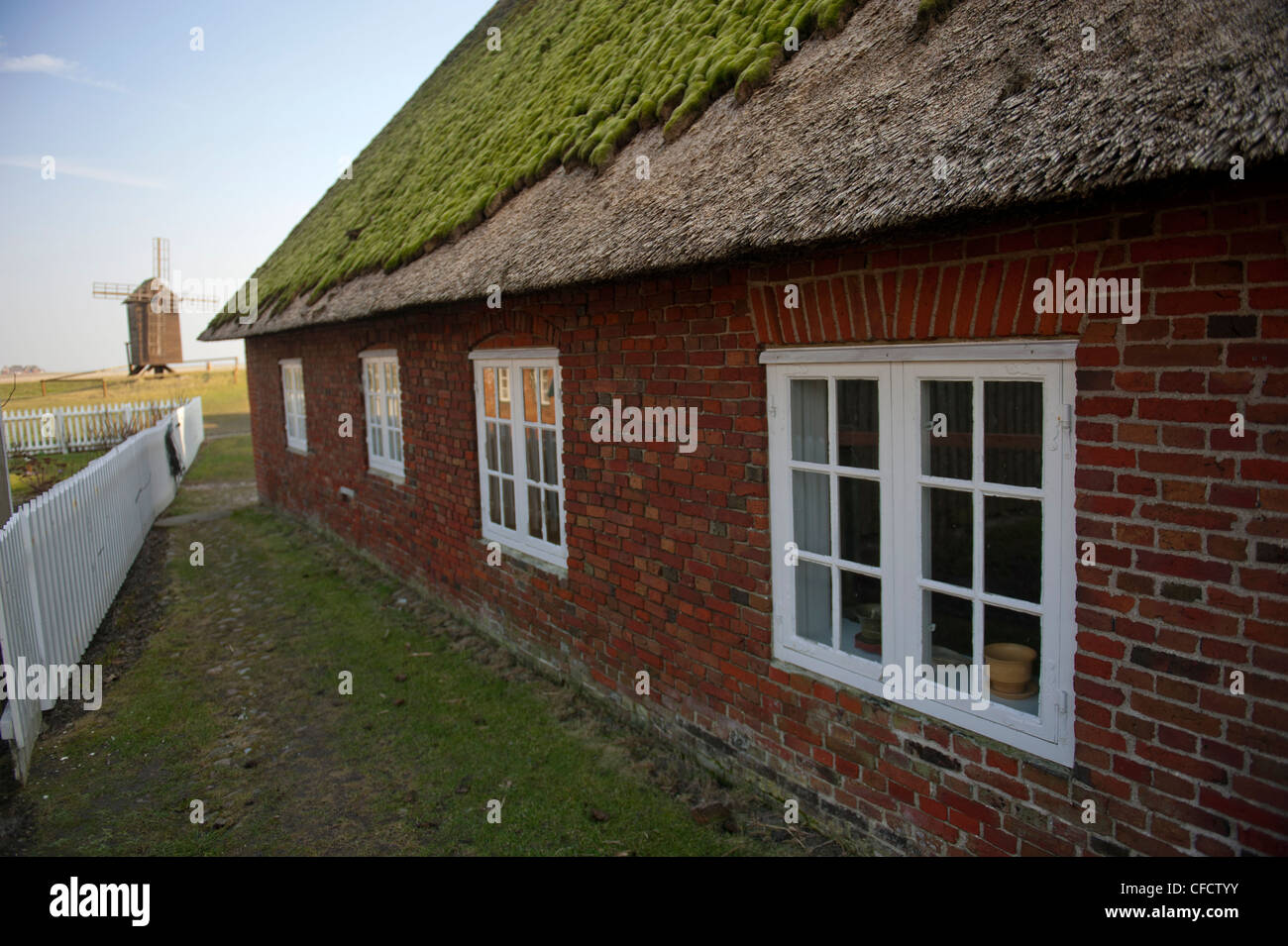 Traditionellen friesischen Häuser am Ketelswarf auf Hallig Langeneß, eine "Insel" in der UNESCO Website Wadden Meer von Norddeutschland Stockfoto
