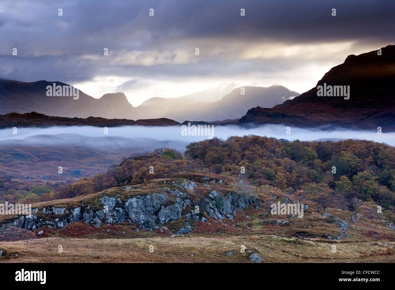 Am frühen Morgen Nebel schwebt über Wald und Heide in der Nähe von Loch Maree, Poolewe, Achnasheen, Wester Ross, Highlands, Schottland, Vereinigtes Königreich Stockfoto