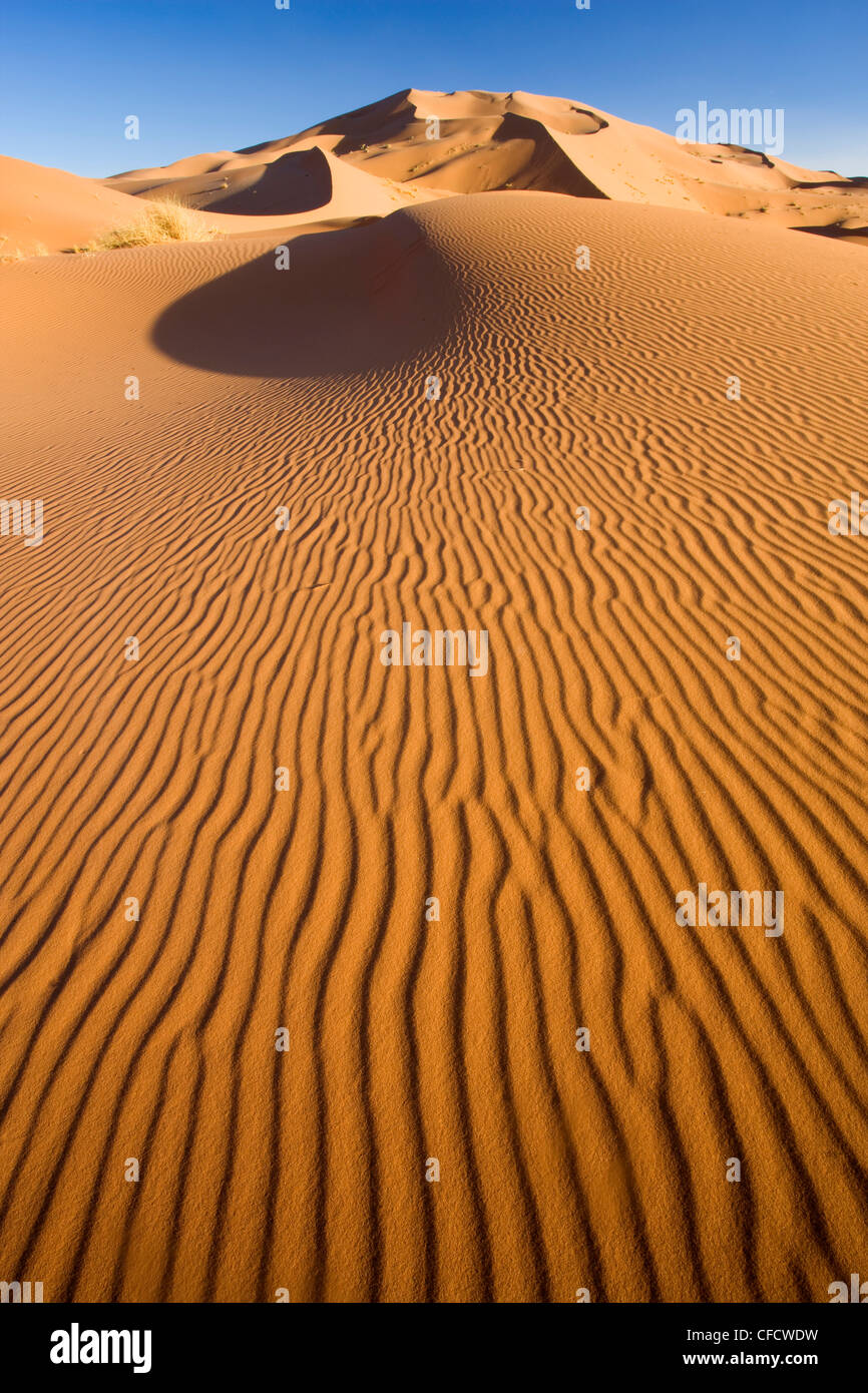 Kleine Wellen Rollen Orangen Dünen und Sand im Erg Chebbi Sand Meer in der Nähe von Merzouga, Marokko, Nordafrika, Afrika Stockfoto