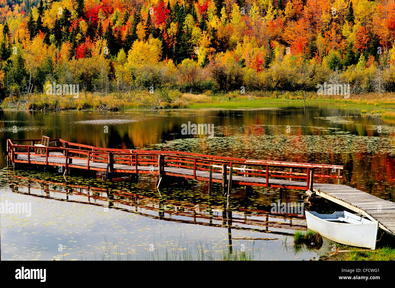 Pointe-Jaune, Quebec, Kanada Stockfoto