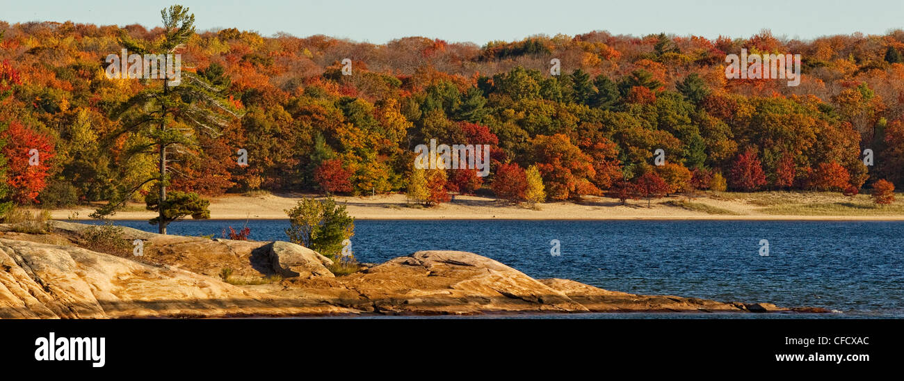 Panoramische Ansicht der Herbstfarben in Killbear Provincial Park, Ontario, Kanada. Stockfoto