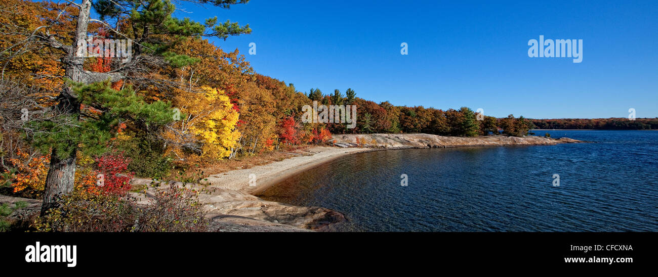 Panoramische Ansicht der Herbstfarben in Killbear Provincial Park, Ontario, Kanada. Stockfoto