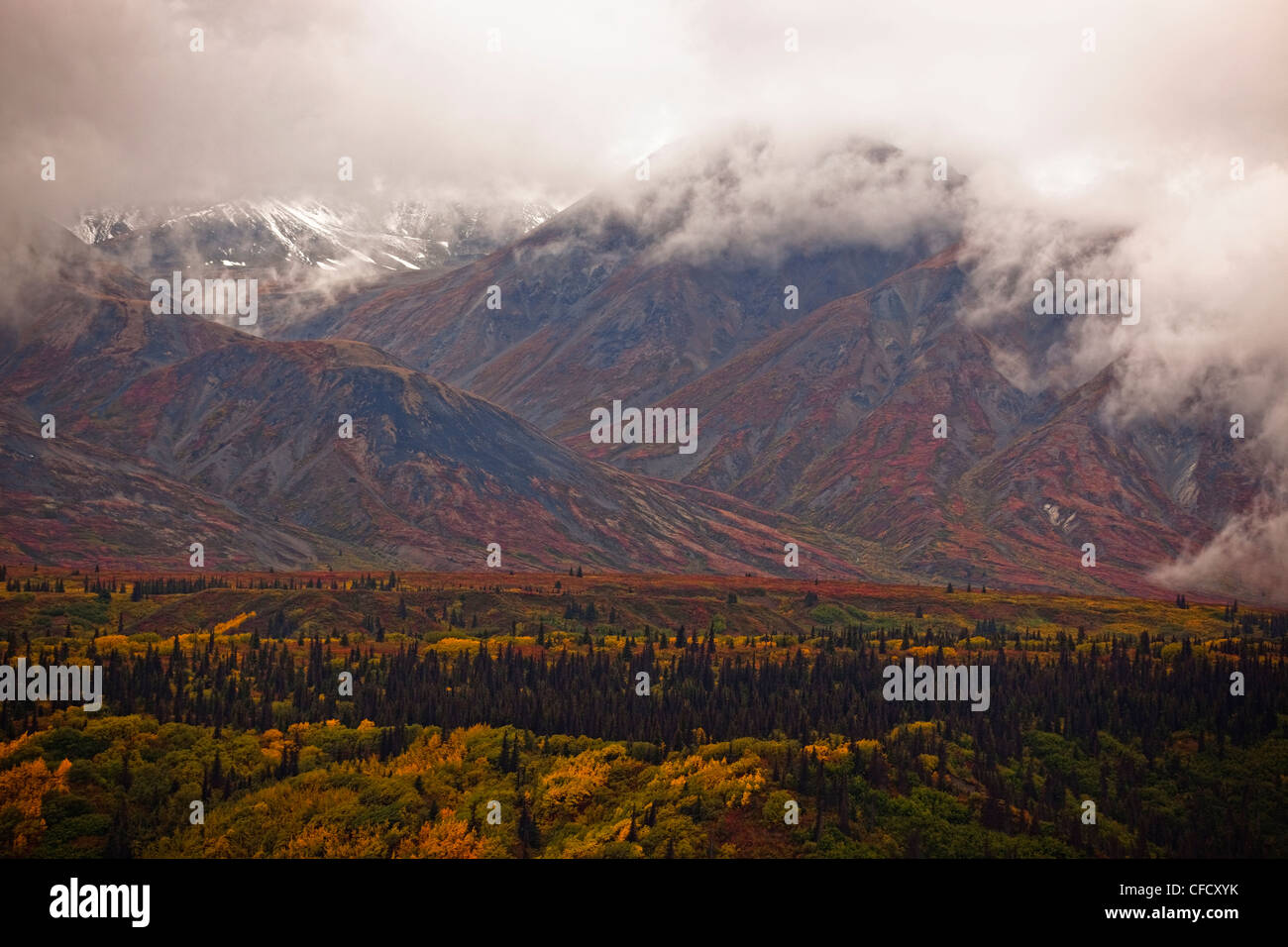 St. Elias Mountains im Herbstlaub mit clearing-Wolken entlang Haines Highway, Yukon, Kanada. Stockfoto