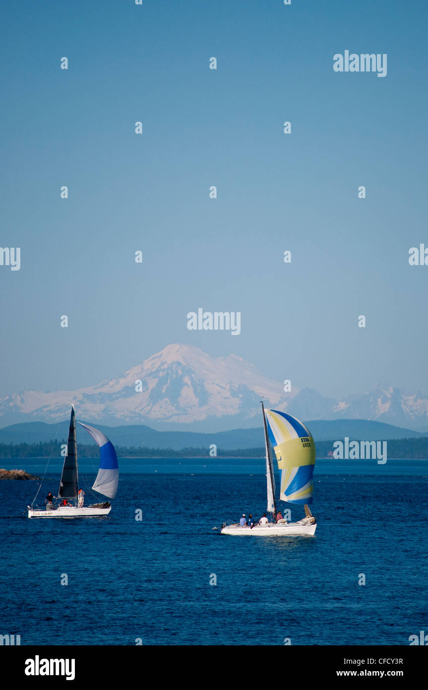 Segelboote mit Spinnaker von Royal Victoria Yacht Club und Mt Baker, Victoria, Britisch-Kolumbien, Kanada Stockfoto