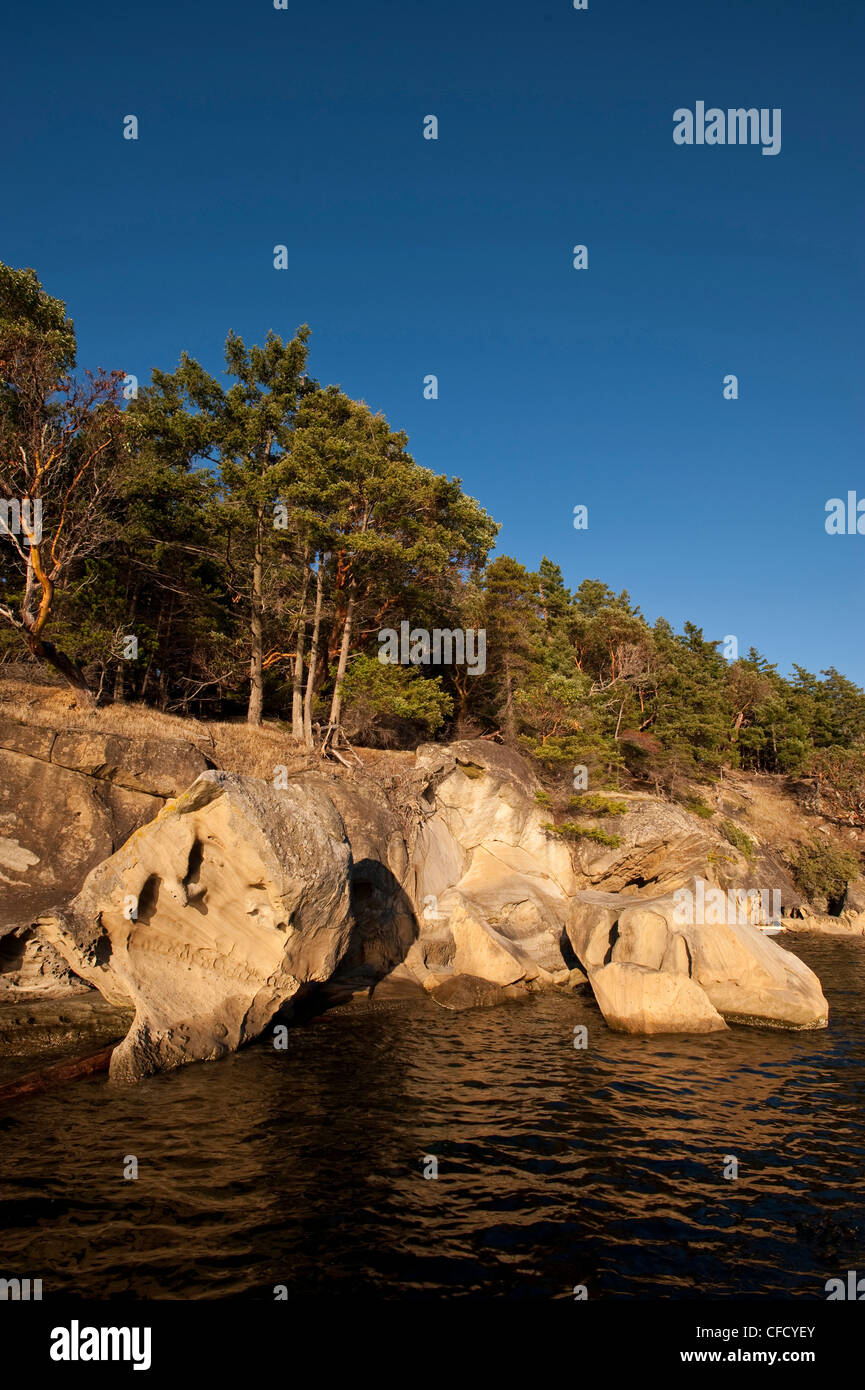 Skulpturen aus Sandstein, an den Ufern des Tumbo Insel, Gulf Islands National Park Reserve, Britisch-Kolumbien, Kanada Stockfoto