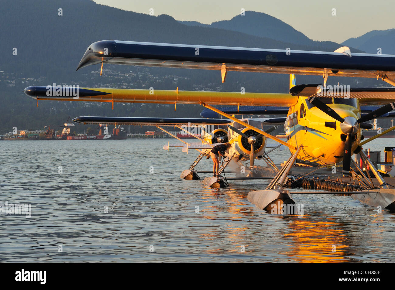 DeHavilland Wasserflugzeuge am Coal Harbour Seaplane Base, Vancouver, Britisch-Kolumbien, Kanada Stockfoto