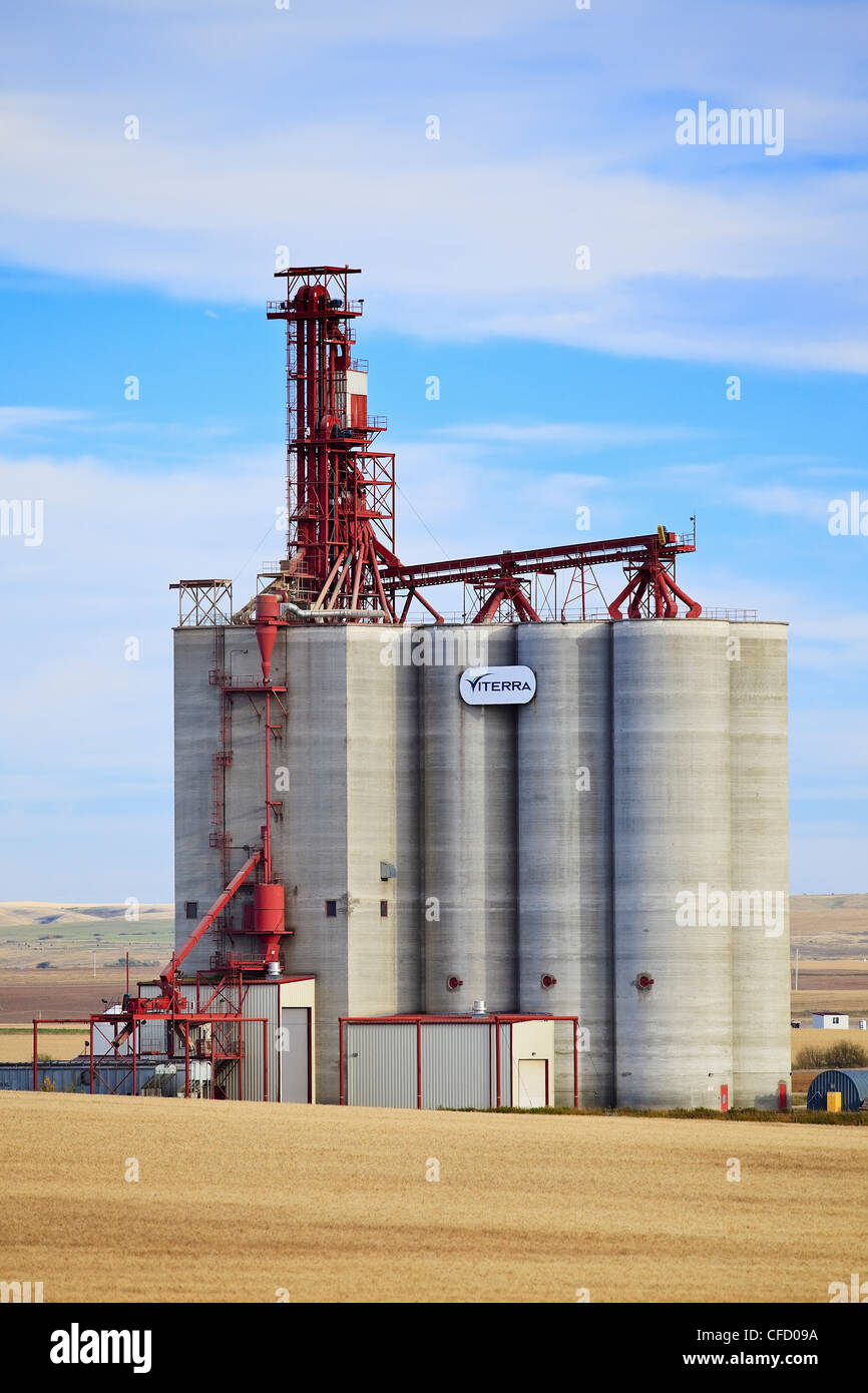 Im Landesinneren Getreideterminal, Gull Lake, Saskatchewan, Kanada. Stockfoto