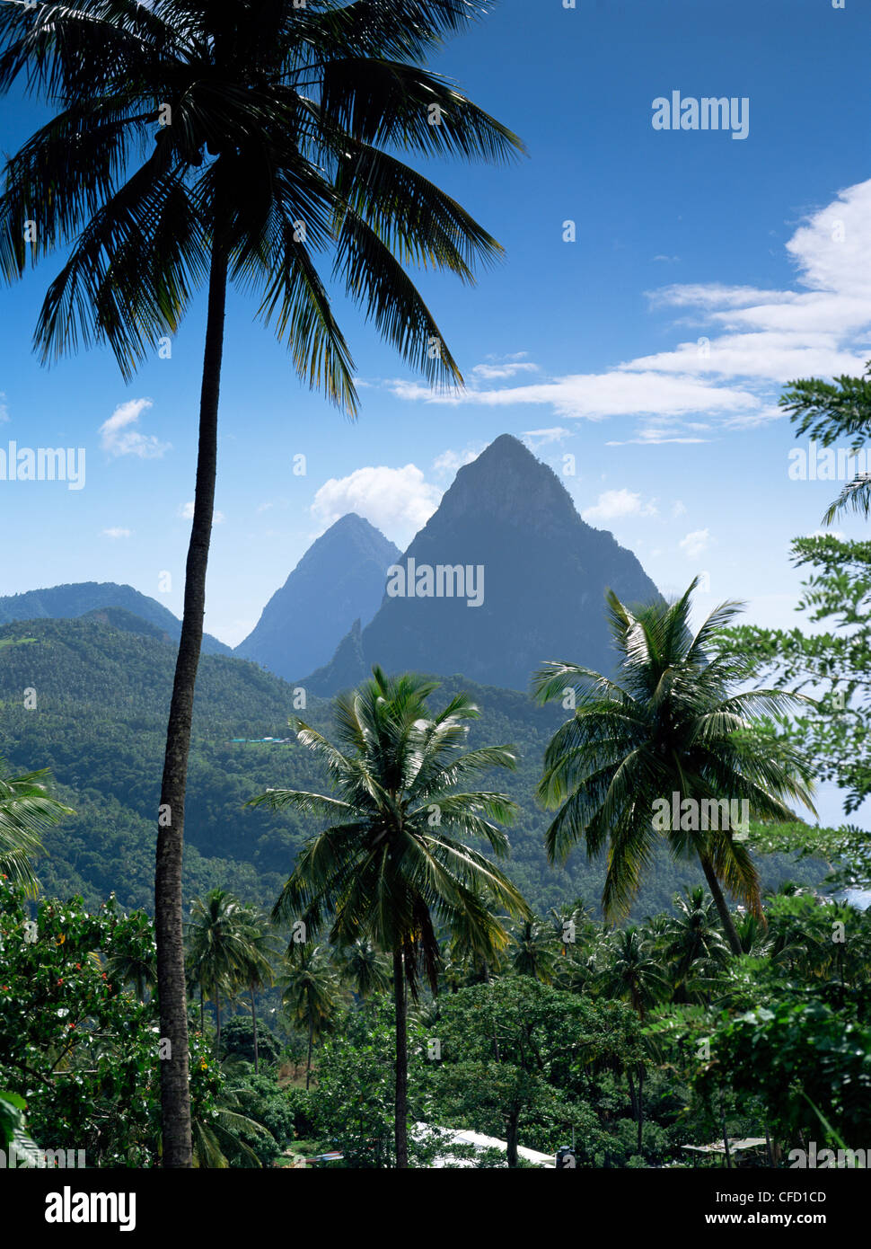 Die Pitons, St. Lucia, Windward Islands, West Indies, Karibik, Mittelamerika Stockfoto