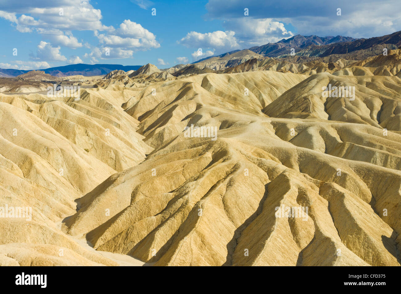 Kalksteinen erodiert Formationen der Zabriske Punkt, Furnace Creek, Death Valley Nationalpark, Kalifornien, Vereinigte Staaten von Amerika Stockfoto