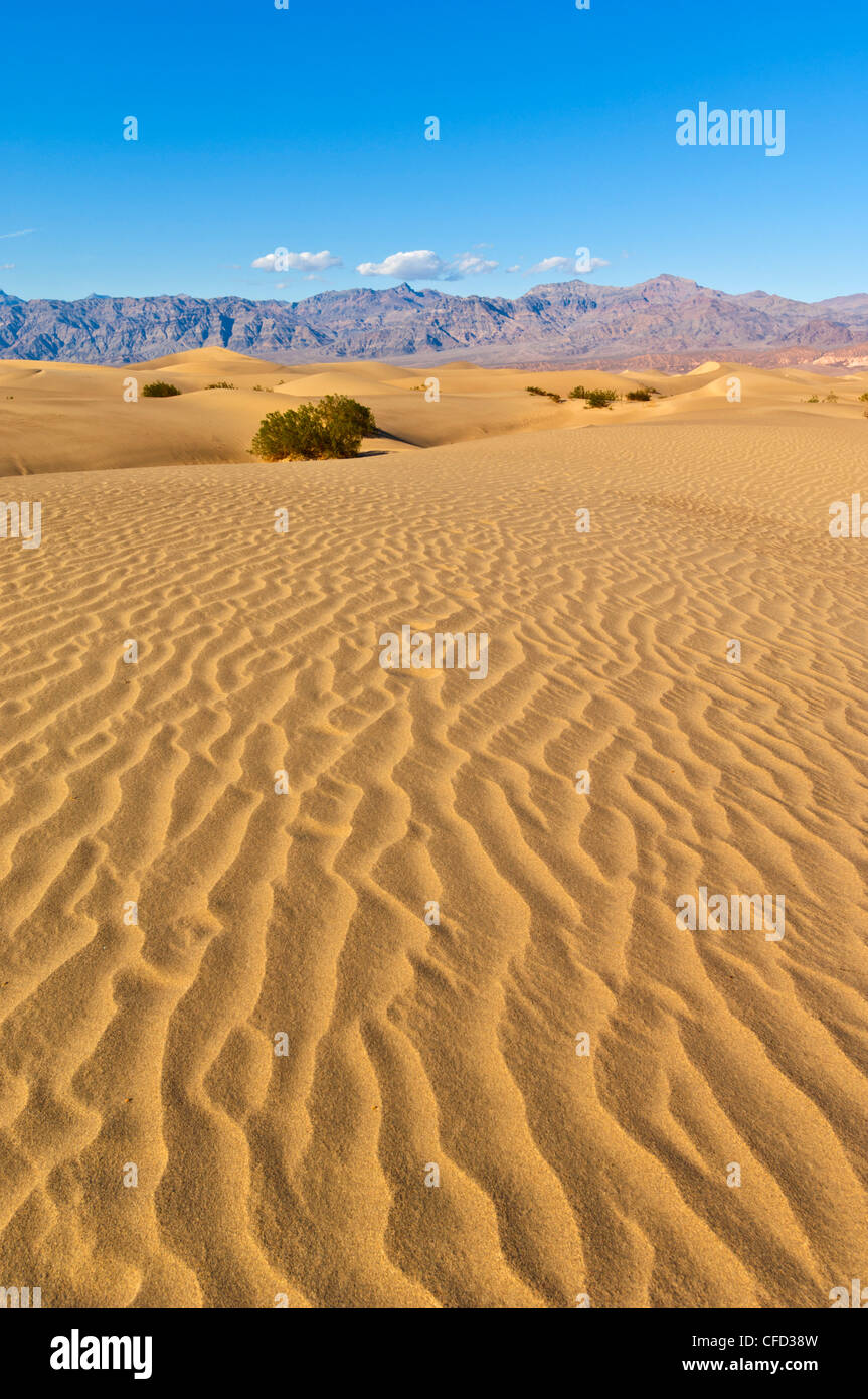 Sand, Wellen, Stovepipe Wells, Death Valley Nationalpark, Kalifornien, USA Stockfoto