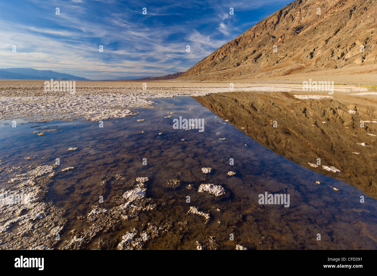 Ein Springfed Pool in der Nähe der Salinen bei Badwater Basin, Death Valley Nationalpark, Kalifornien, USA Stockfoto