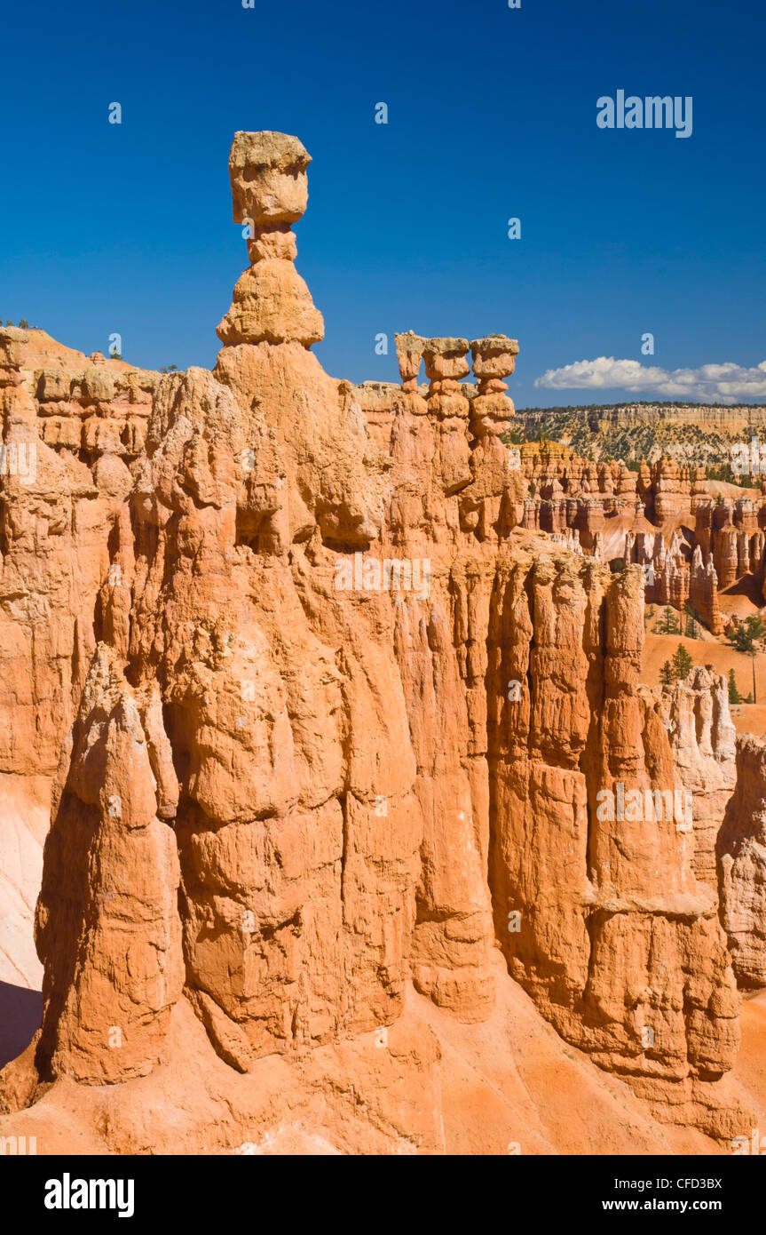 Der Hammer des Thor, Bryce-Canyon-Nationalpark, Utah, USA Stockfoto