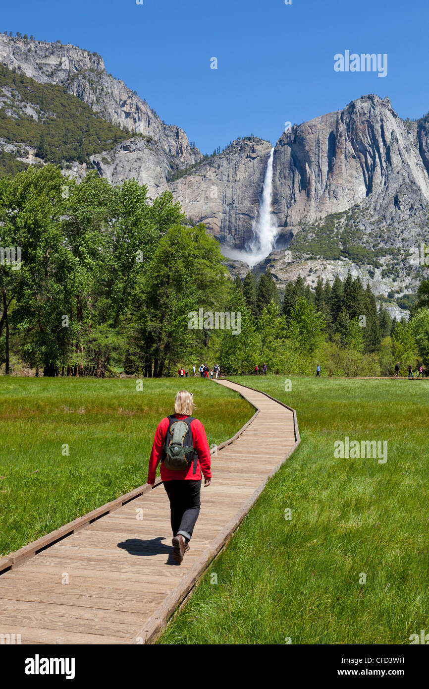 Wanderer zu Fuß in Richtung Upper Yosemite Falls, Yosemite Tal, Yosemite-Nationalpark Sierra Nevada, Kalifornien, USA Stockfoto