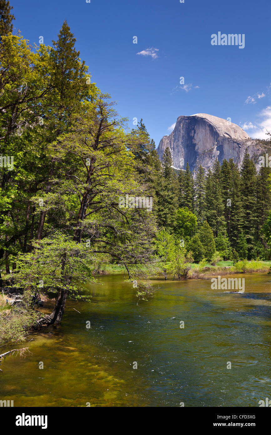 Half Dome-Granit-Monolith, Merced River, Yosemite Tal, Yosemite-Nationalpark Sierra Nevada, Kalifornien, USA Stockfoto