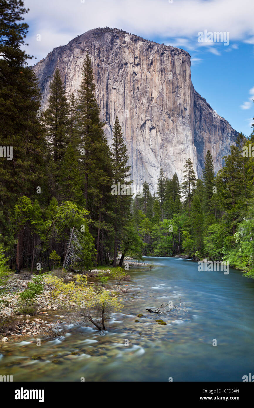 El Capitan, Yosemite-Nationalpark Sierra Nevada, Kalifornien, USA Stockfoto