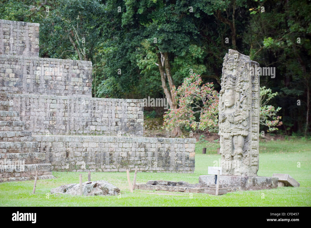 Stelen einer aus 731 n. Chr. Kaninchen 18, Copan Ruinen, Maya-Ausgrabungsstätte, UNESCO-Weltkulturerbe, Honduras Stockfoto