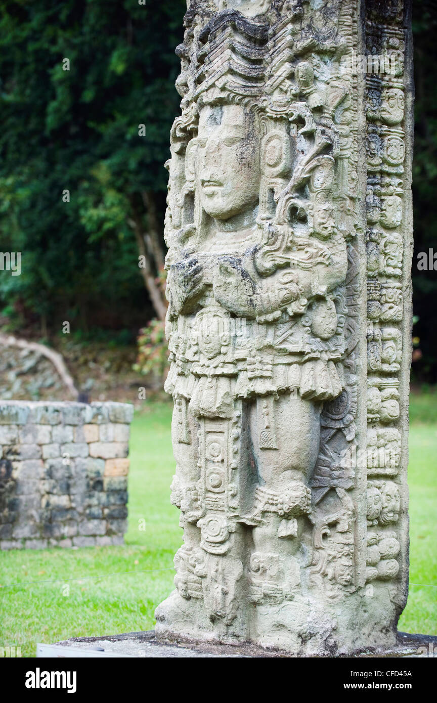 Stelen einer aus 731 n. Chr. Kaninchen 18, Copan Ruinen, Maya-Ausgrabungsstätte, UNESCO-Weltkulturerbe, Honduras Stockfoto