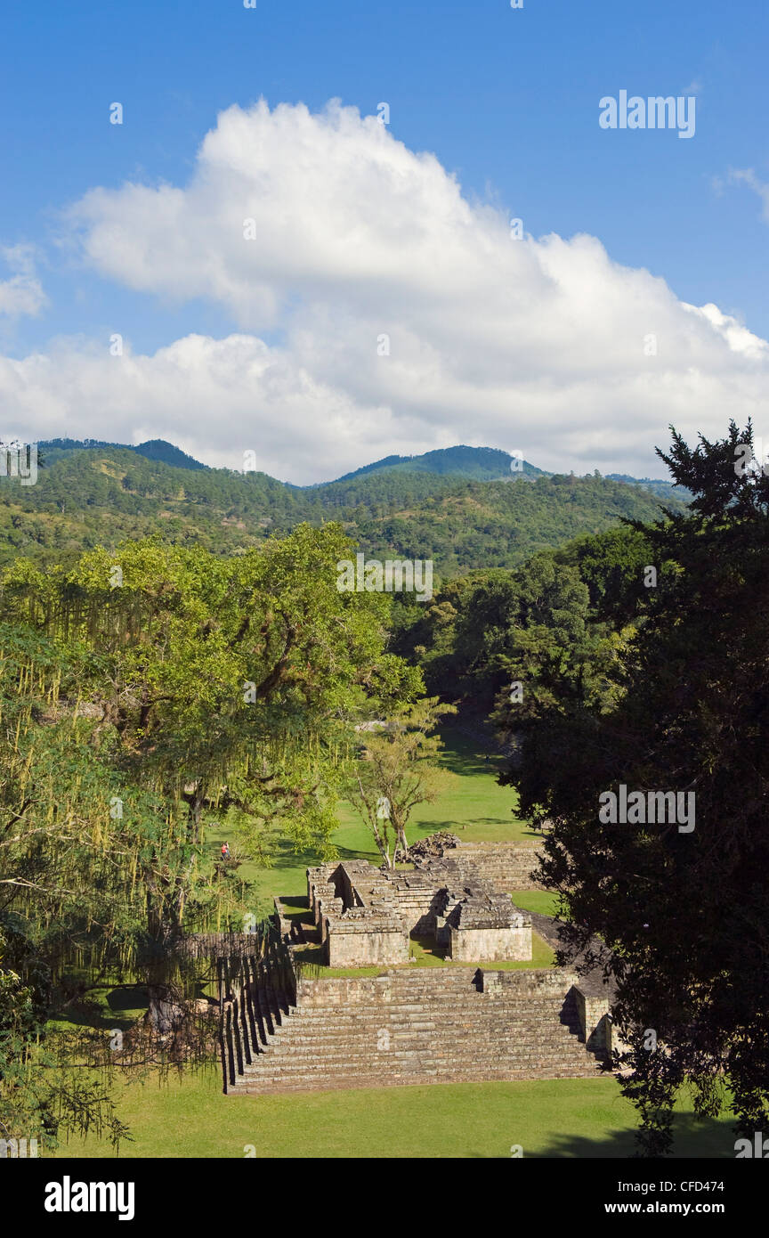 Maya-Ausgrabungsstätte Copan Ruinen, UNESCO-Weltkulturerbe, Honduras, Mittelamerika Stockfoto