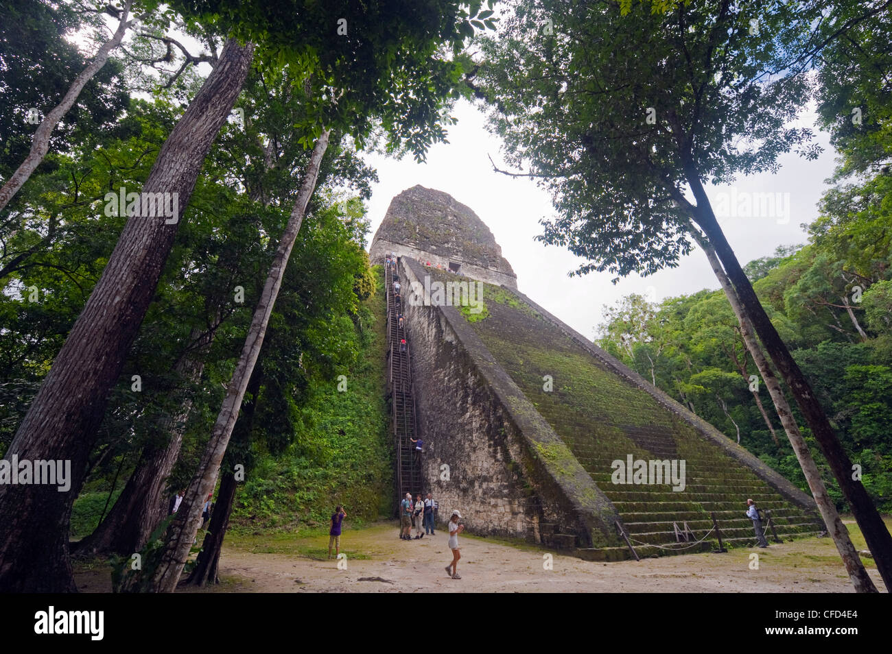 Touristen Klettern eine Pyramide im Wald, Ruinen Maya, Tikal, UNESCO-Weltkulturerbe, Guatemala, Mittelamerika Stockfoto