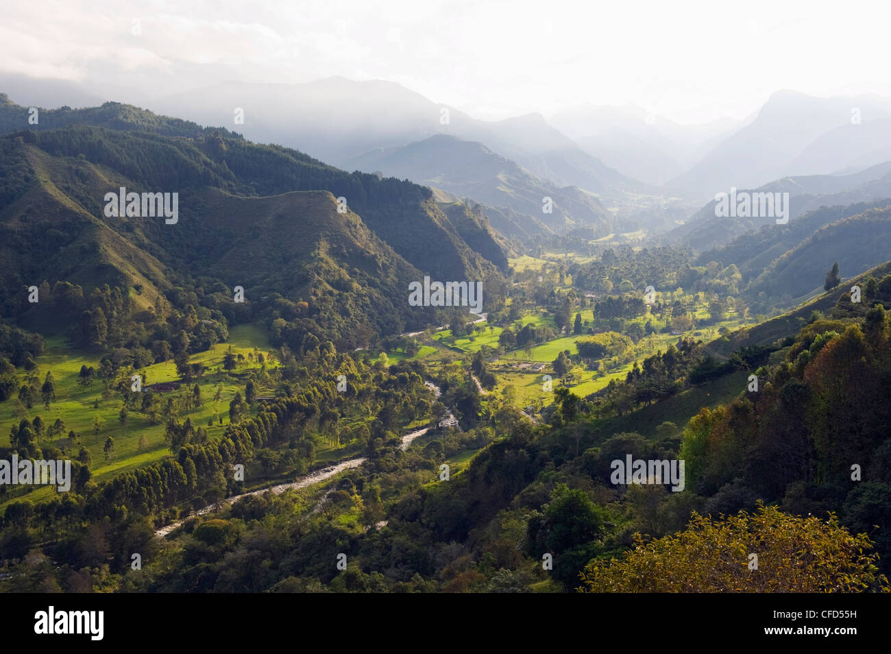 Cocora-Tal, Salento, Kolumbien, Südamerika Stockfoto