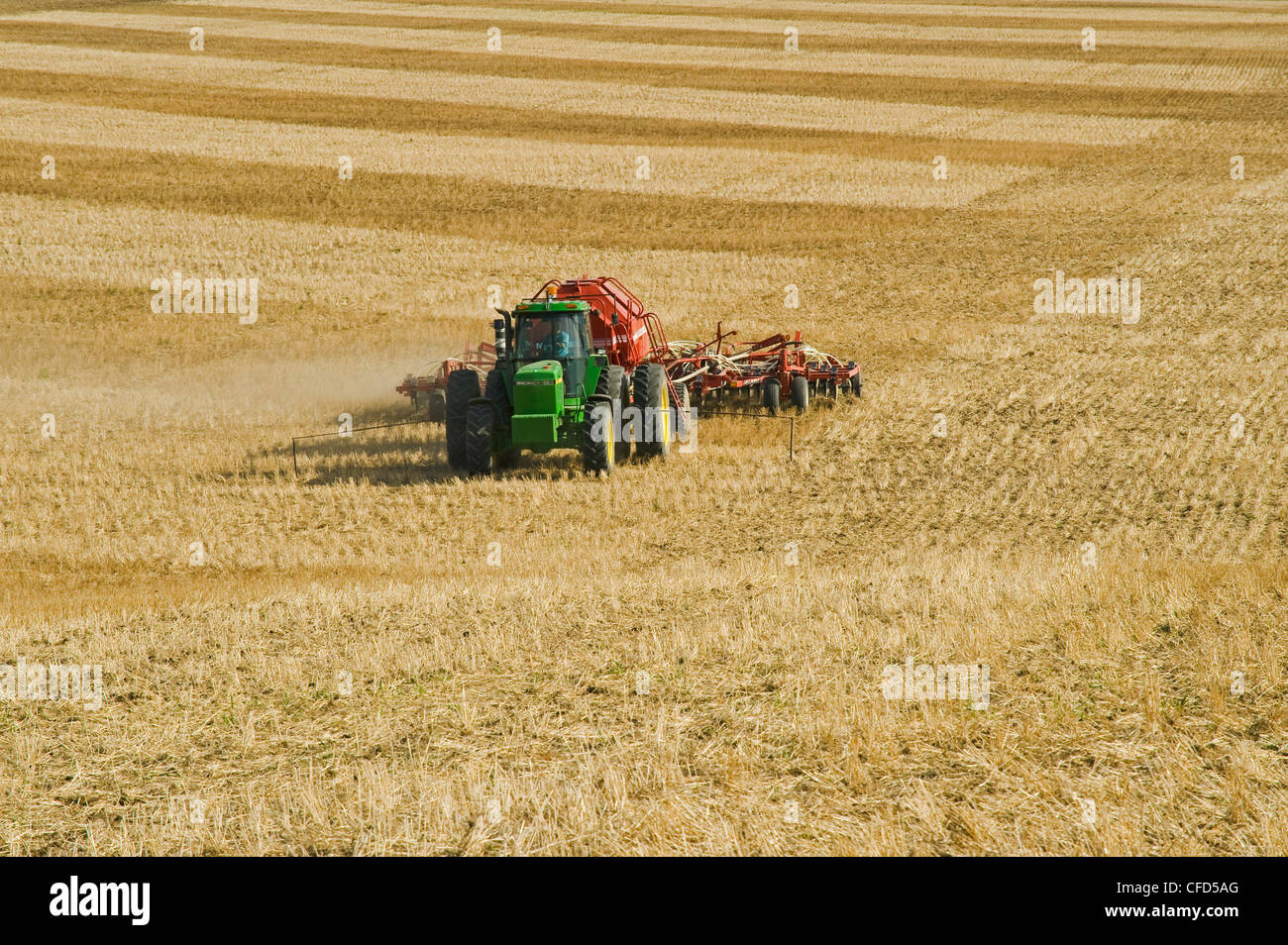 Bewegliche Traktor und Luft bis Sämaschine Pflanzung Raps in eine Null bis Weizen Stoppelfeld, Bruxelles, Manitoba, Kanada Stockfoto