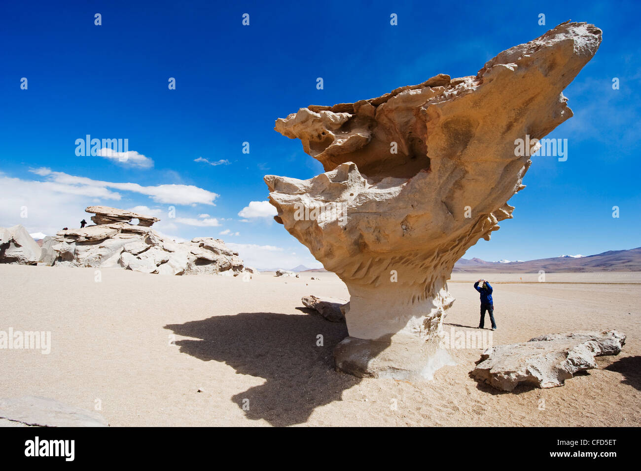Felsformationen im Altiplano, Bolivien, Südamerika Stockfoto
