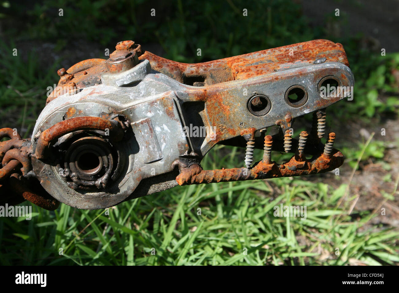 Metall Skulptur eines Kopfes Schildkröte, Tortuguero, Costa Rica Stockfoto