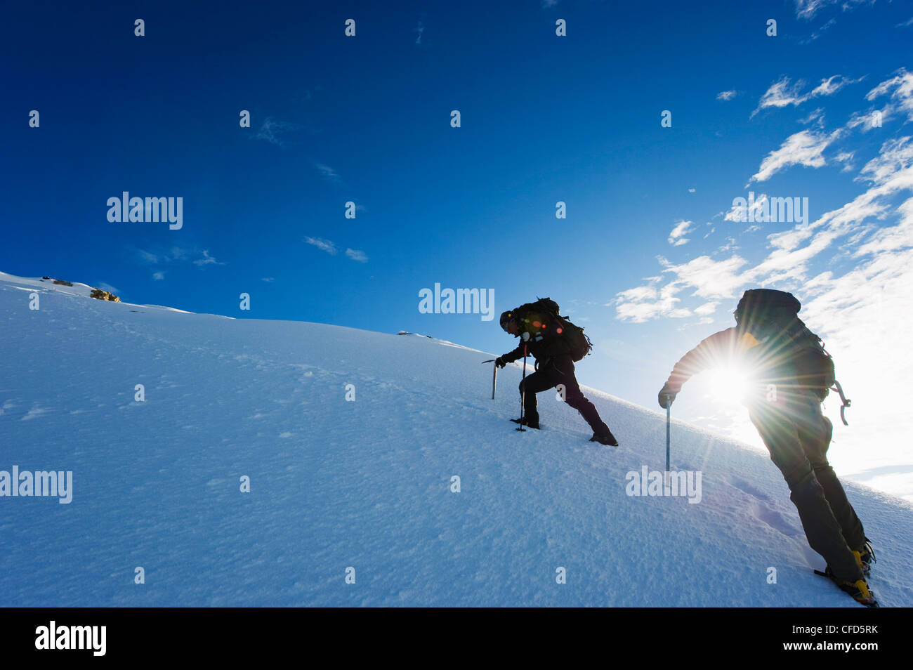 Kletterer auf El Misti Vulkan, 5822m, Arequipa, Peru, Südamerika Stockfoto