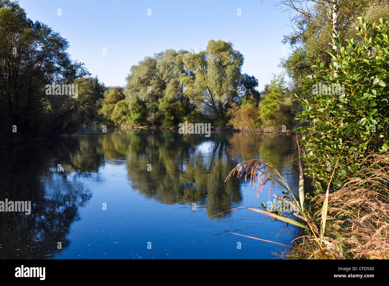 Loisach-Fluss in der Nähe von Penzberg, Upper Bavaria, Bayern, Deutschland, Europa Stockfoto