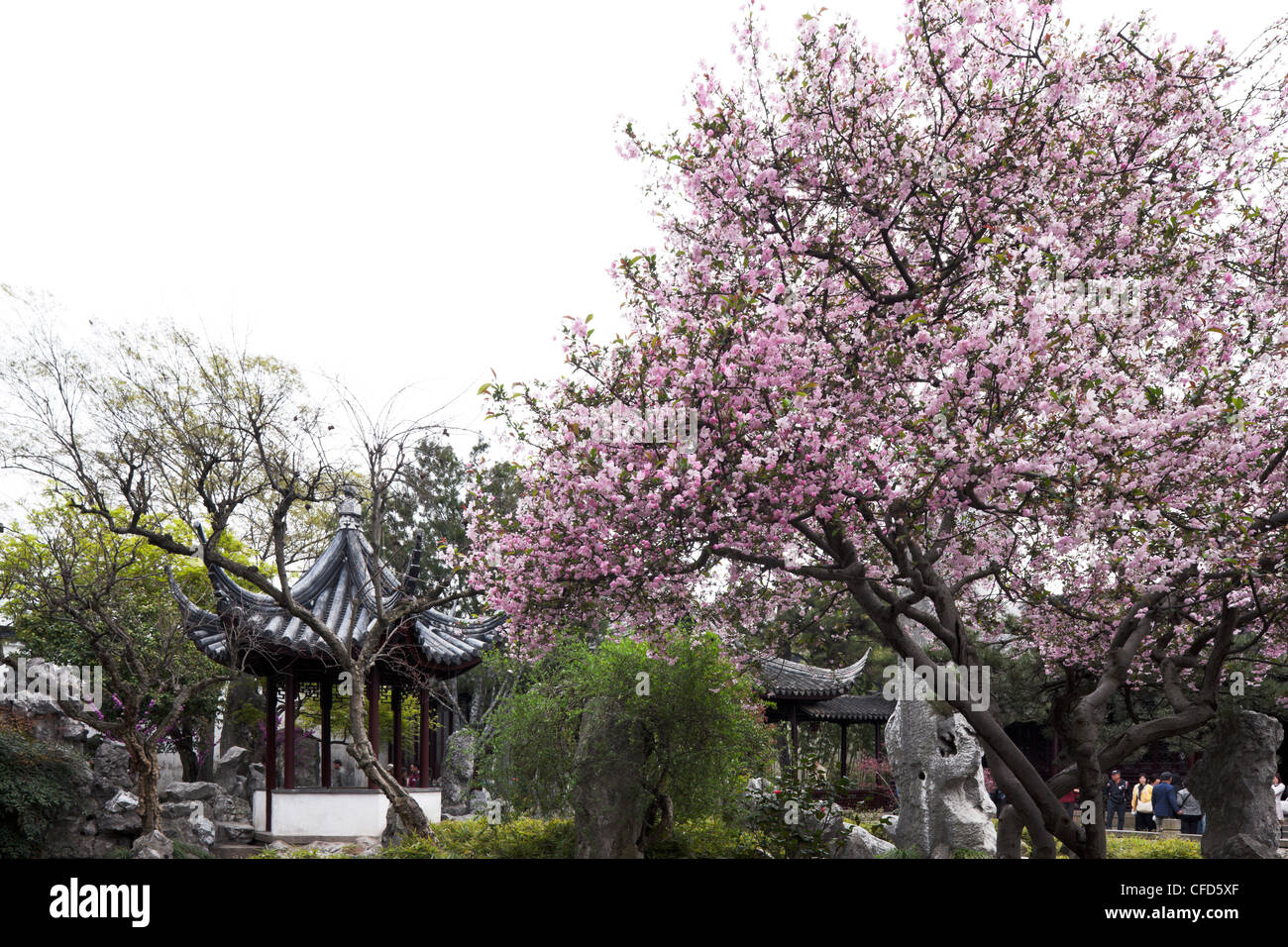 China, Suzhou, Asien, berühmte Ort, Landschaften, Sonne, Geschichte, Himmel, Tür, Urlaubsort, chinesische Kultur, Mann gemacht Struktur, Antiquitäten Stockfoto