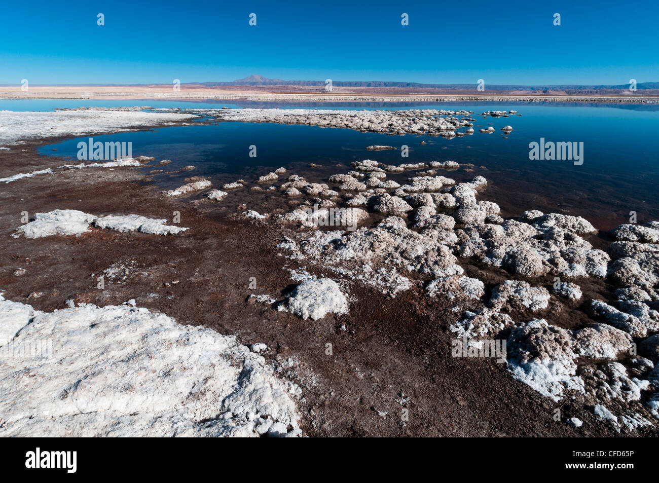 Laguna Tebenquiche, Salar de Atacama, Atacama-Wüste, Chile, Südamerika Stockfoto