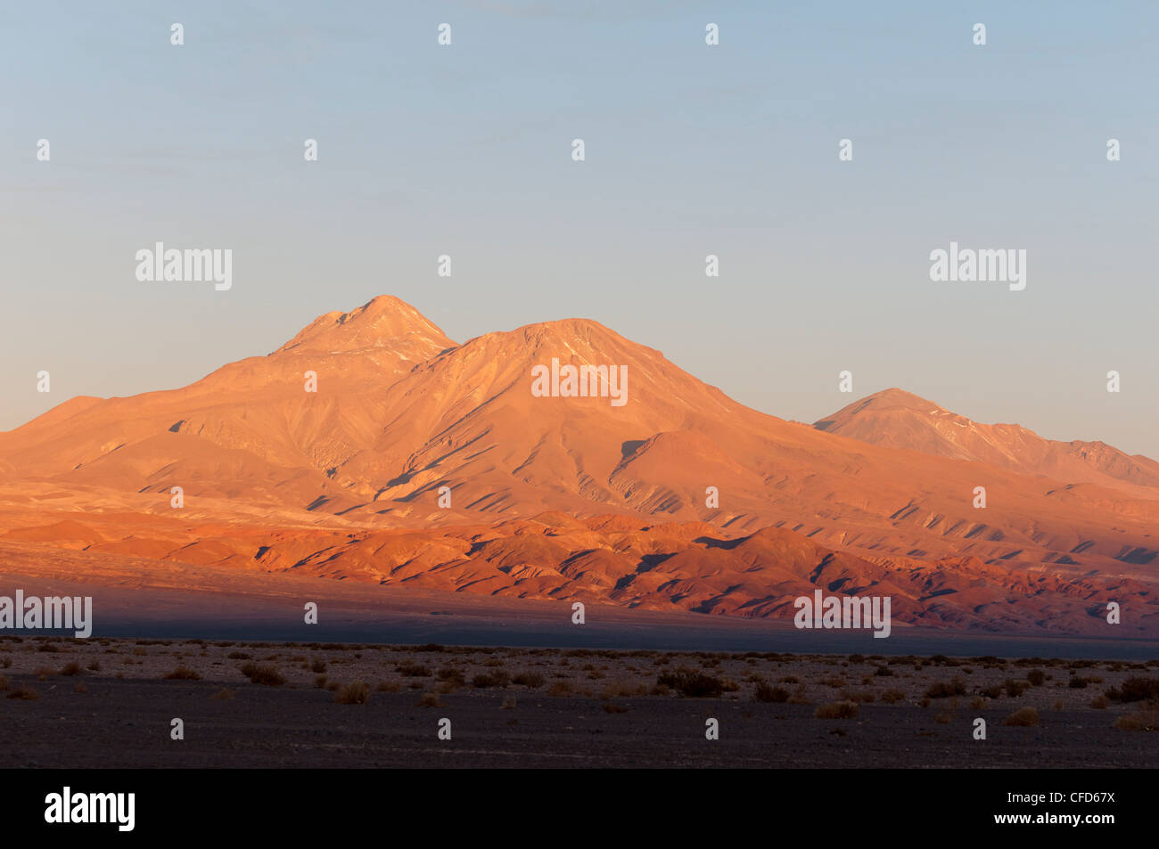 Salar de Atacama, Atacama-Wüste, Chile, Südamerika Stockfoto