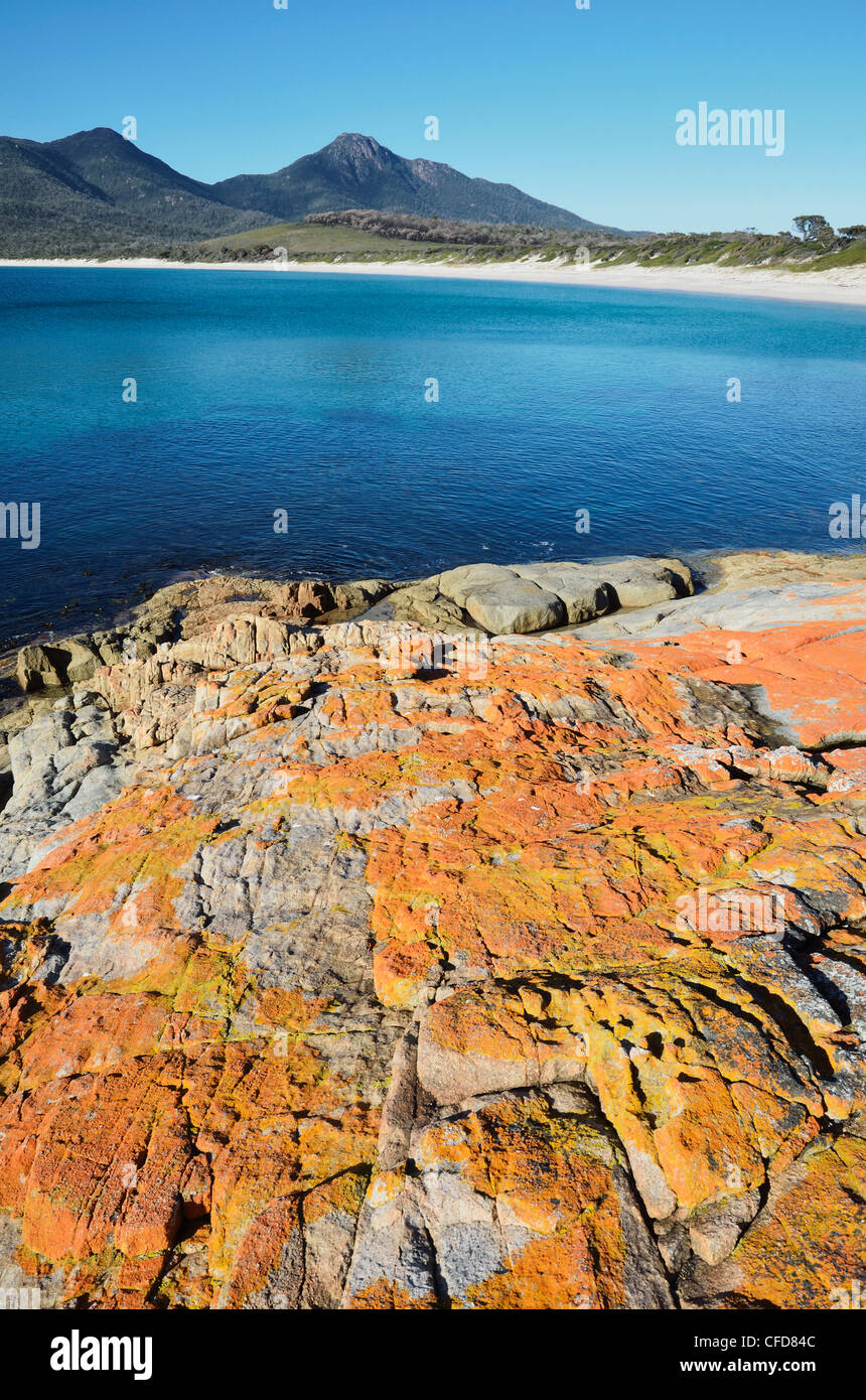 Roten Flechten auf Felsen, Wineglass Bay, Freycinet National Park, Freycinet Peninsula, Tasmanien, Australien, Pazifik Stockfoto