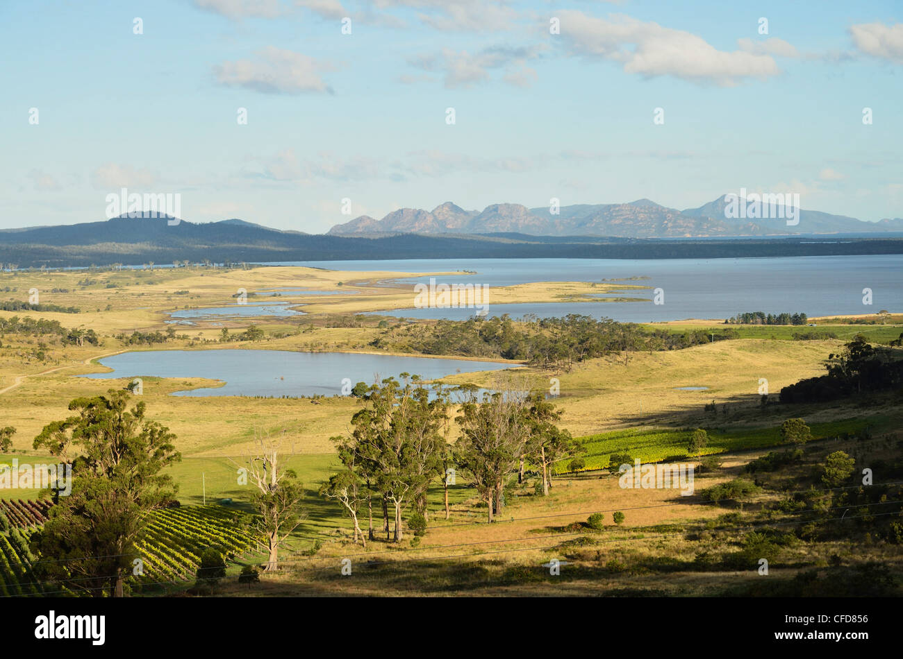 Mauser Lagune, Great Oyster Bay, Tasmanien, Australien, Pazifik Stockfoto