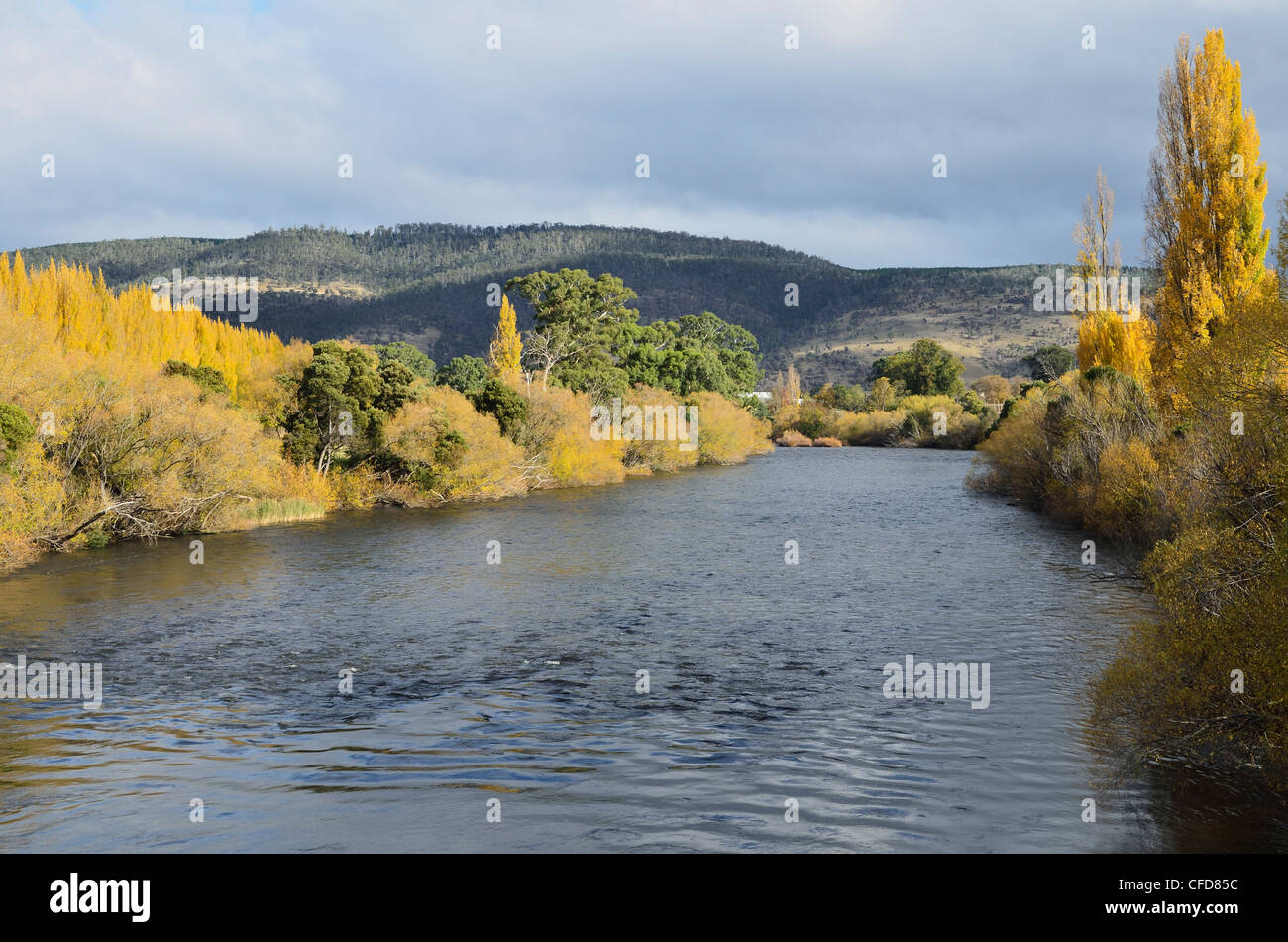 Fluß Derwent, Bushy Park, Tasmanien, Australien, Pazifik Stockfoto