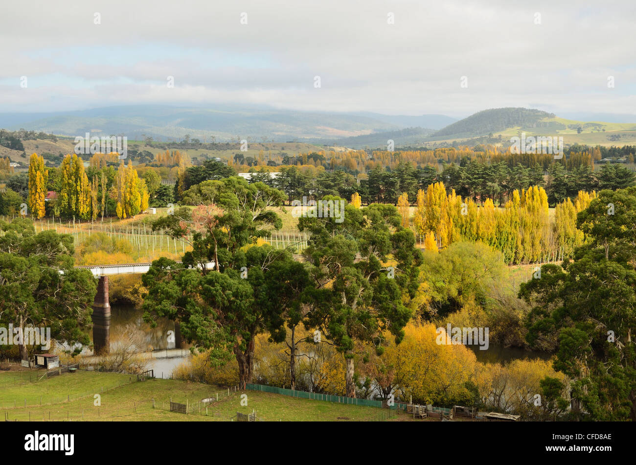 Ackerland, Bushy Park, Tasmanien, Australien, Pazifik Stockfoto