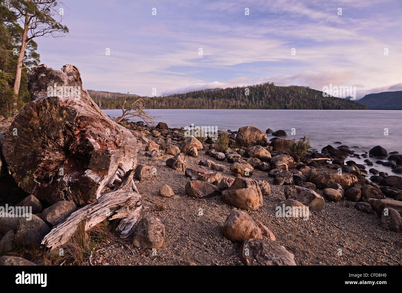 Ufer von See-Str. Clair, Cradle Mountain-Lake St. Clair National Park, UNESCO World Heritage Site, Tasmanien, Australien, Pazifik Stockfoto