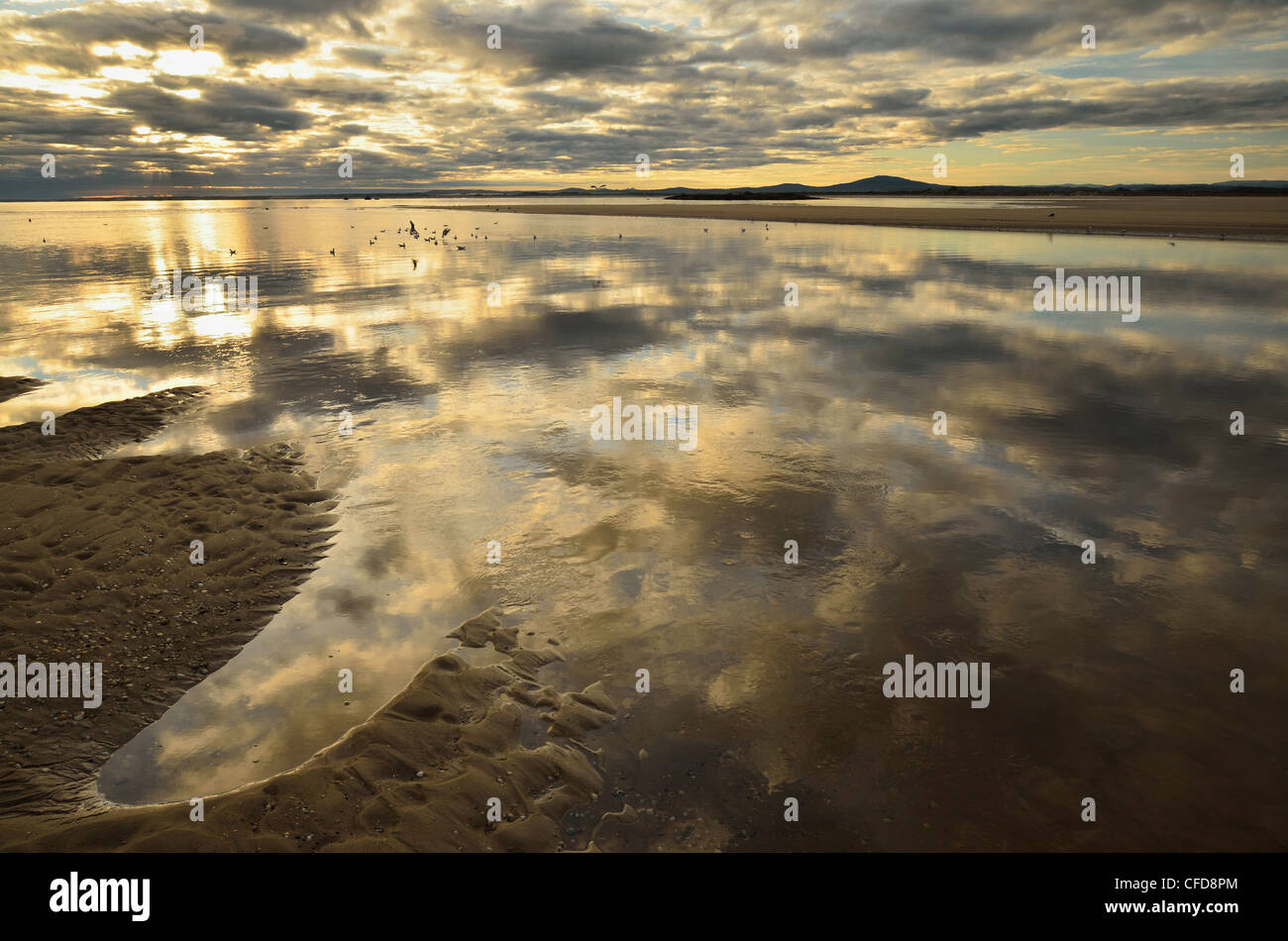 Küste bei Anderson Bay, Bridport, Tasmanien, Australien, Pazifik Stockfoto
