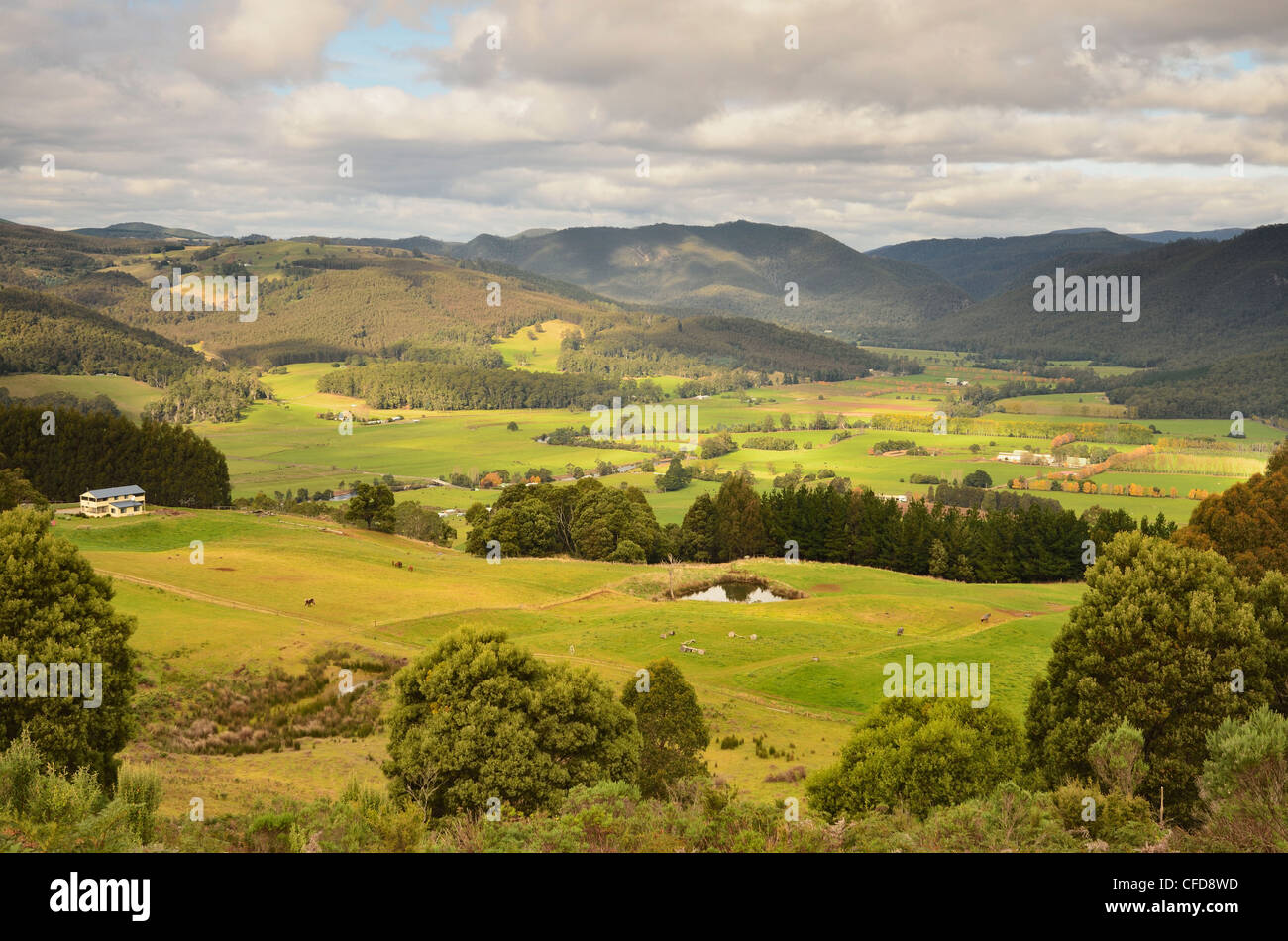 Blick auf Leven Tal, Gunns Plains, Tasmanien, Australien, Pazifik Stockfoto