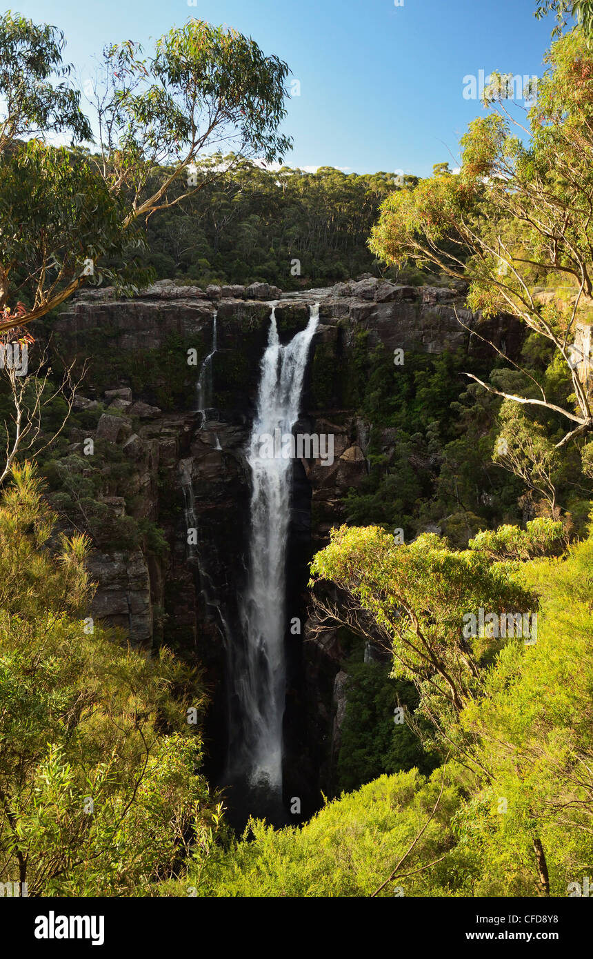 Carrington fällt, Budderoo Nationalpark, neue South Wales, Australien, Pazifik Stockfoto