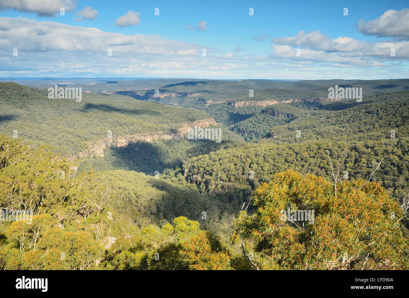 Blick auf Ettrema Wildnis, Morton Nationalpark, New South Wales, Australien, Pazifik Stockfoto