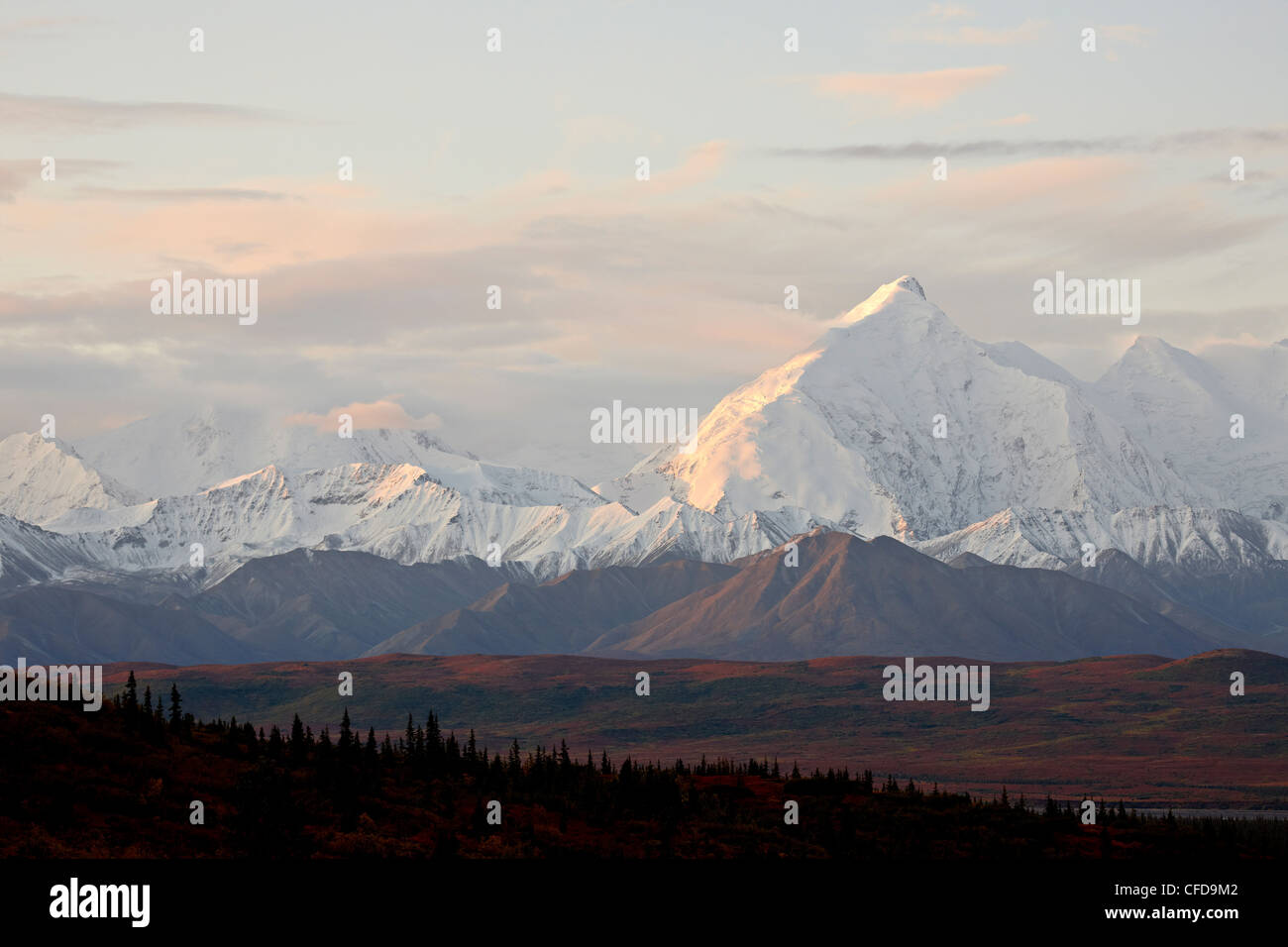 Mount Foraker im Herbst, Denali Nationalpark und Reservat, Alaska, Vereinigte Staaten von Amerika, Stockfoto