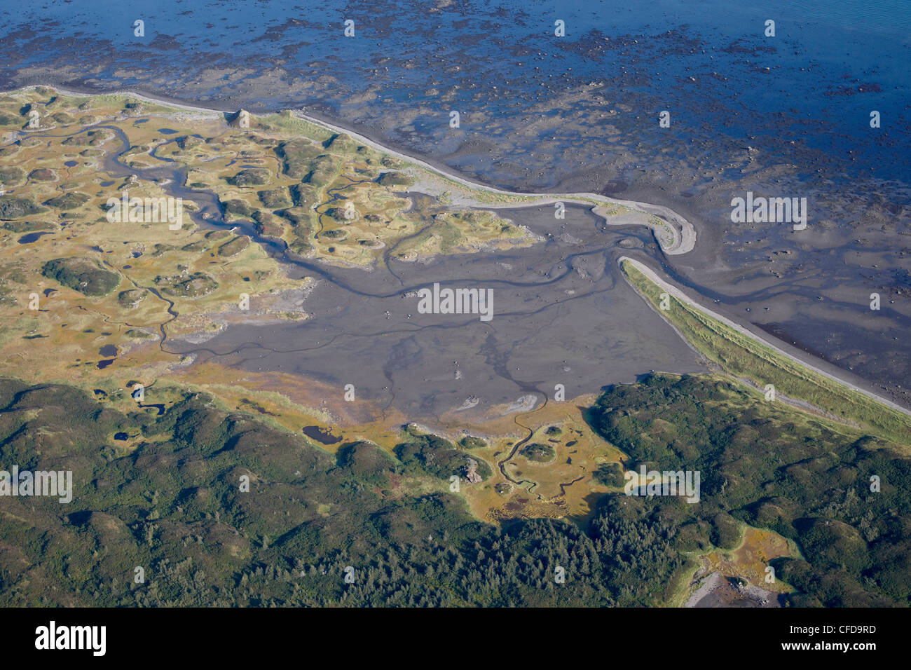Sandy-Küste aus der Luft, Alaska-Halbinsel, Alaska, Vereinigte Staaten von Amerika, Stockfoto