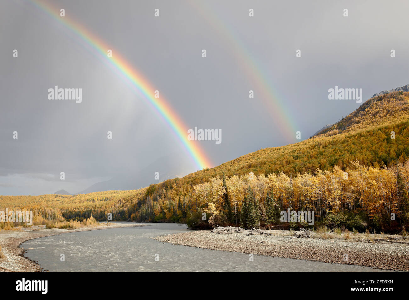 Regenbogen mit Herbstfarben in der Nähe von King Mountain State Recreation Area und Chickaloon, Alaska, Vereinigte Staaten von Amerika Stockfoto