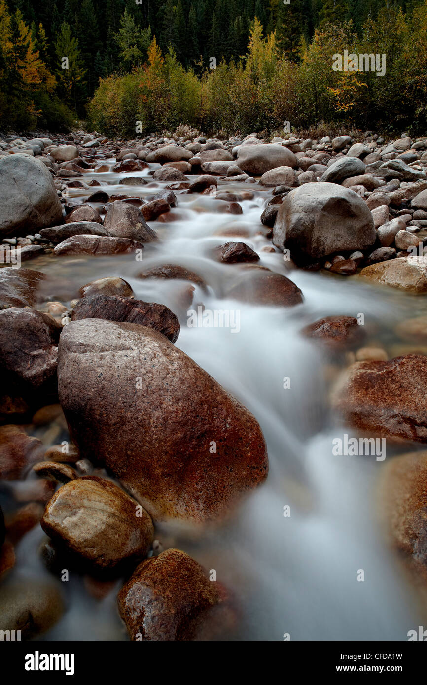 Astoria River, Jasper-Nationalpark, UNESCO World Heritage Site, Alberta, Kanada, Stockfoto