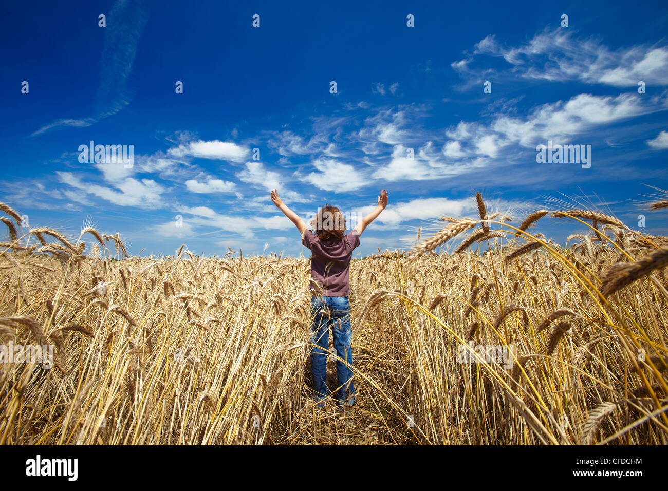 Fröhlicher Junge in Weizen eingereicht, Frankreich, Europa Stockfoto