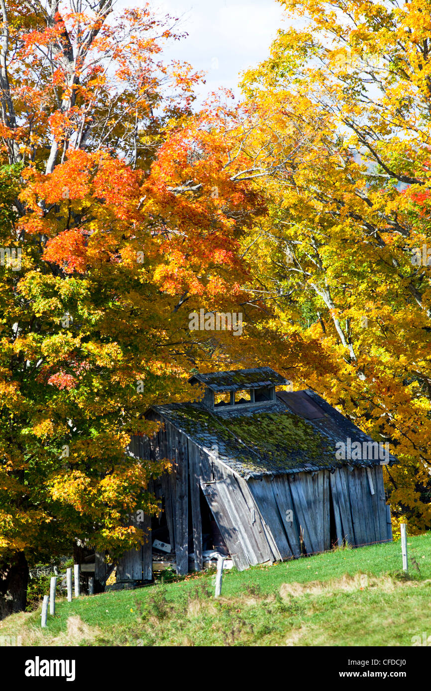 Alten sugar Shack und Herbstlaub, Saint John River Valley, New Brunswick, Kanada Stockfoto