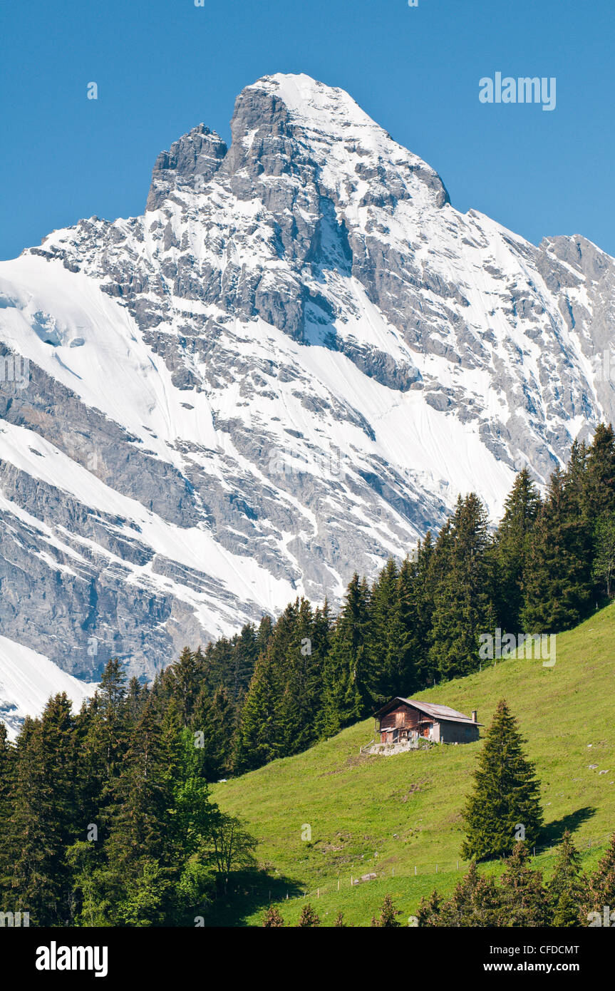 Jungfraumassiv und Schweizer Chalet in der Nähe von Mürren, Jungfrau Region, Schweiz, Europa Stockfoto