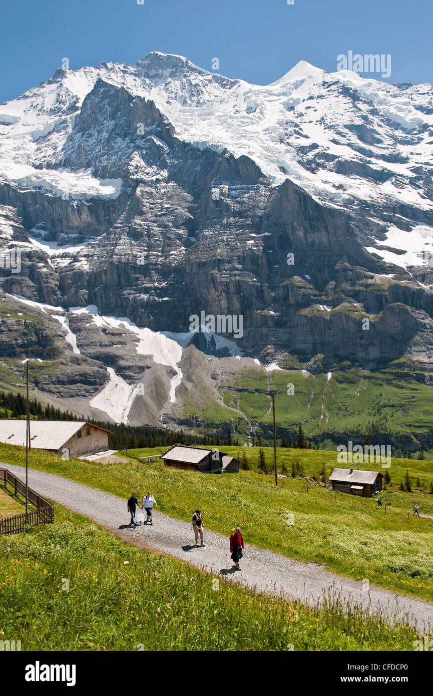 Wandern unter dem Jungfraumassiv von Kleine Scheidegg, Jungfrau Region, der Schweiz, Europa Stockfoto