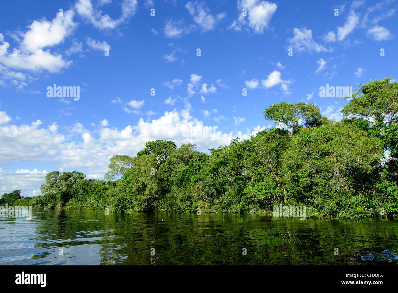Pantanl Feuchtgebiete, südwestlichen Brasilien, Südamerika Stockfoto